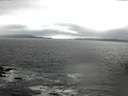 ./images/koeye/fitz-hugh/20160418/fitz-hugh20160418_122703.jpg