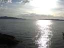 ./images/koeye/fitz-hugh/20160420/fitz-hugh20160420_180303.jpg