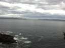 ./images/koeye/fitz-hugh/20160421/fitz-hugh20160421_100303.jpg