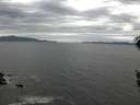 ./images/koeye/fitz-hugh/20160421/fitz-hugh20160421_121802.jpg