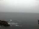 ./images/koeye/fitz-hugh/20160423/fitz-hugh20160423_060301.jpg