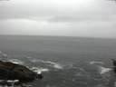 ./images/koeye/fitz-hugh/20160423/fitz-hugh20160423_100303.jpg