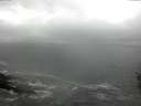 ./images/koeye/fitz-hugh/20160423/fitz-hugh20160423_120302.jpg