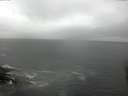 ./images/koeye/fitz-hugh/20160423/fitz-hugh20160423_121801.jpg