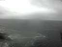 ./images/koeye/fitz-hugh/20160423/fitz-hugh20160423_122102.jpg