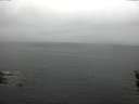 ./images/koeye/fitz-hugh/20160423/fitz-hugh20160423_140301.jpg