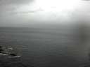 ./images/koeye/fitz-hugh/20160423/fitz-hugh20160423_160302.jpg