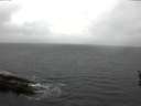 ./images/koeye/fitz-hugh/20160423/fitz-hugh20160423_180303.jpg