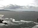 ./images/koeye/fitz-hugh/20160425/fitz-hugh20160425_140301.jpg