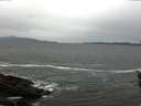 ./images/koeye/fitz-hugh/20160426/fitz-hugh20160426_120301.jpg