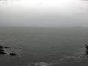 ./images/koeye/fitz-hugh/20160426/fitz-hugh20160426_180302.jpg