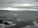 ./images/koeye/fitz-hugh/20160428/fitz-hugh20160428_080301.jpg