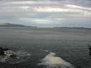 ./images/koeye/fitz-hugh/20160430/fitz-hugh20160430_080303.jpg