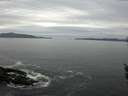 ./images/koeye/fitz-hugh/20160430/fitz-hugh20160430_180303.jpg