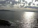 ./images/koeye/fitz-hugh/20160502/fitz-hugh20160502_180303.jpg