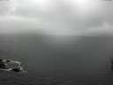 ./images/koeye/fitz-hugh/20160503/fitz-hugh20160503_100302.jpg