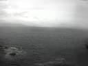 ./images/koeye/fitz-hugh/20160503/fitz-hugh20160503_120302.jpg
