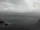 ./images/koeye/fitz-hugh/20160503/fitz-hugh20160503_123303.jpg