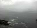 ./images/koeye/fitz-hugh/20160503/fitz-hugh20160503_140301.jpg
