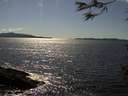 ./images/koeye/fitz-hugh/20160504/fitz-hugh20160504_160301.jpg