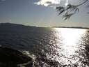 ./images/koeye/fitz-hugh/20160504/fitz-hugh20160504_180301.jpg