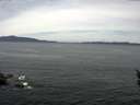./images/koeye/fitz-hugh/20160506/fitz-hugh20160506_122101.jpg