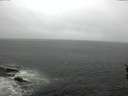 ./images/koeye/fitz-hugh/20160507/fitz-hugh20160507_122102.jpg