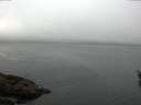 ./images/koeye/fitz-hugh/20160510/fitz-hugh20160510_080303.jpg