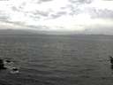 ./images/koeye/fitz-hugh/20160510/fitz-hugh20160510_160303.jpg
