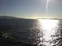 ./images/koeye/fitz-hugh/20160511/fitz-hugh20160511_180302.jpg