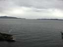./images/koeye/fitz-hugh/20160517/fitz-hugh20160517_140301.jpg
