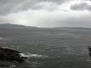 ./images/koeye/fitz-hugh/20160517/fitz-hugh20160517_160303.jpg