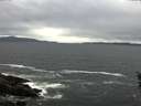 ./images/koeye/fitz-hugh/20160517/fitz-hugh20160517_180303.jpg