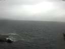 ./images/koeye/fitz-hugh/20160518/fitz-hugh20160518_100303.jpg