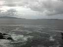 ./images/koeye/fitz-hugh/20160518/fitz-hugh20160518_140301.jpg