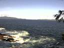 ./images/koeye/fitz-hugh/20160519/fitz-hugh20160519_100301.jpg