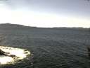 ./images/koeye/fitz-hugh/20160520/fitz-hugh20160520_122702.jpg