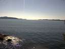 ./images/koeye/fitz-hugh/20160521/fitz-hugh20160521_160302.jpg
