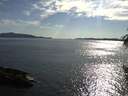 ./images/koeye/fitz-hugh/20160521/fitz-hugh20160521_180303.jpg