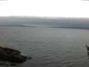 ./images/koeye/fitz-hugh/20160522/fitz-hugh20160522_060303.jpg