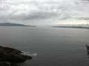 ./images/koeye/fitz-hugh/20160522/fitz-hugh20160522_100302.jpg
