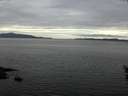 ./images/koeye/fitz-hugh/20160522/fitz-hugh20160522_160303.jpg