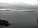 ./images/koeye/fitz-hugh/20160523/fitz-hugh20160523_060302.jpg