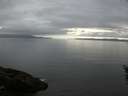 ./images/koeye/fitz-hugh/20160523/fitz-hugh20160523_080302.jpg