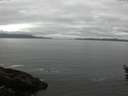 ./images/koeye/fitz-hugh/20160523/fitz-hugh20160523_100301.jpg