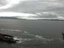 ./images/koeye/fitz-hugh/20160523/fitz-hugh20160523_121801.jpg