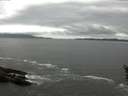 ./images/koeye/fitz-hugh/20160523/fitz-hugh20160523_122102.jpg