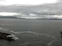 ./images/koeye/fitz-hugh/20160523/fitz-hugh20160523_123301.jpg