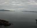 ./images/koeye/fitz-hugh/20160526/fitz-hugh20160526_080006.jpg