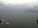 ./images/koeye/fitz-hugh/20160527/fitz-hugh20160527_060008.jpg